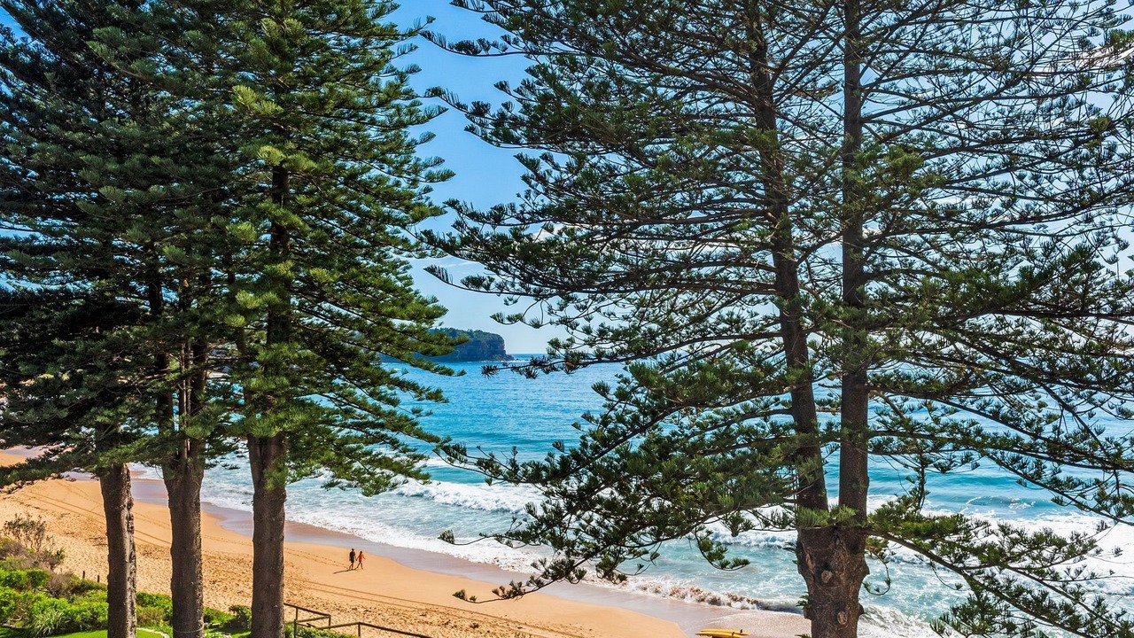 Photo of Others in Newport