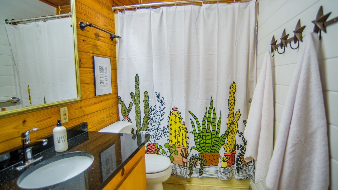 Photo of Bathroom in Seguin
