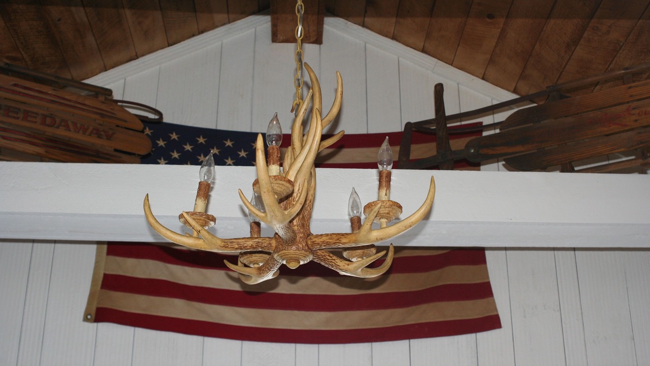 Photo of Others in Carroll