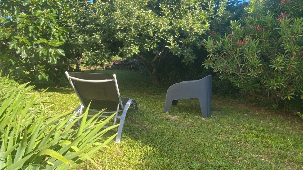 Photo of Outdoor in Palau-del-Vidre