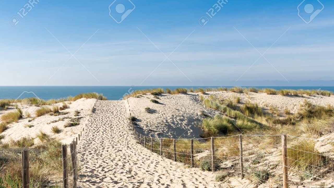 Photo of Others in Gujan-Mestras