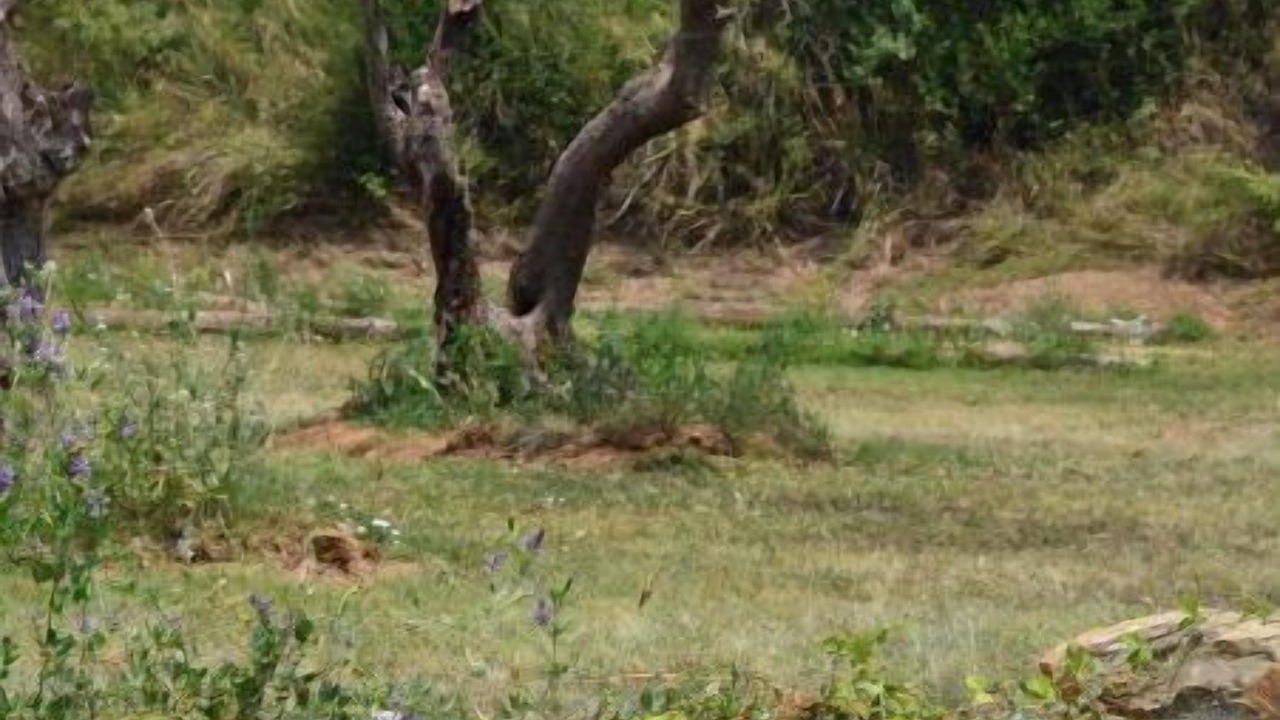 Photo of Outdoor in Pins