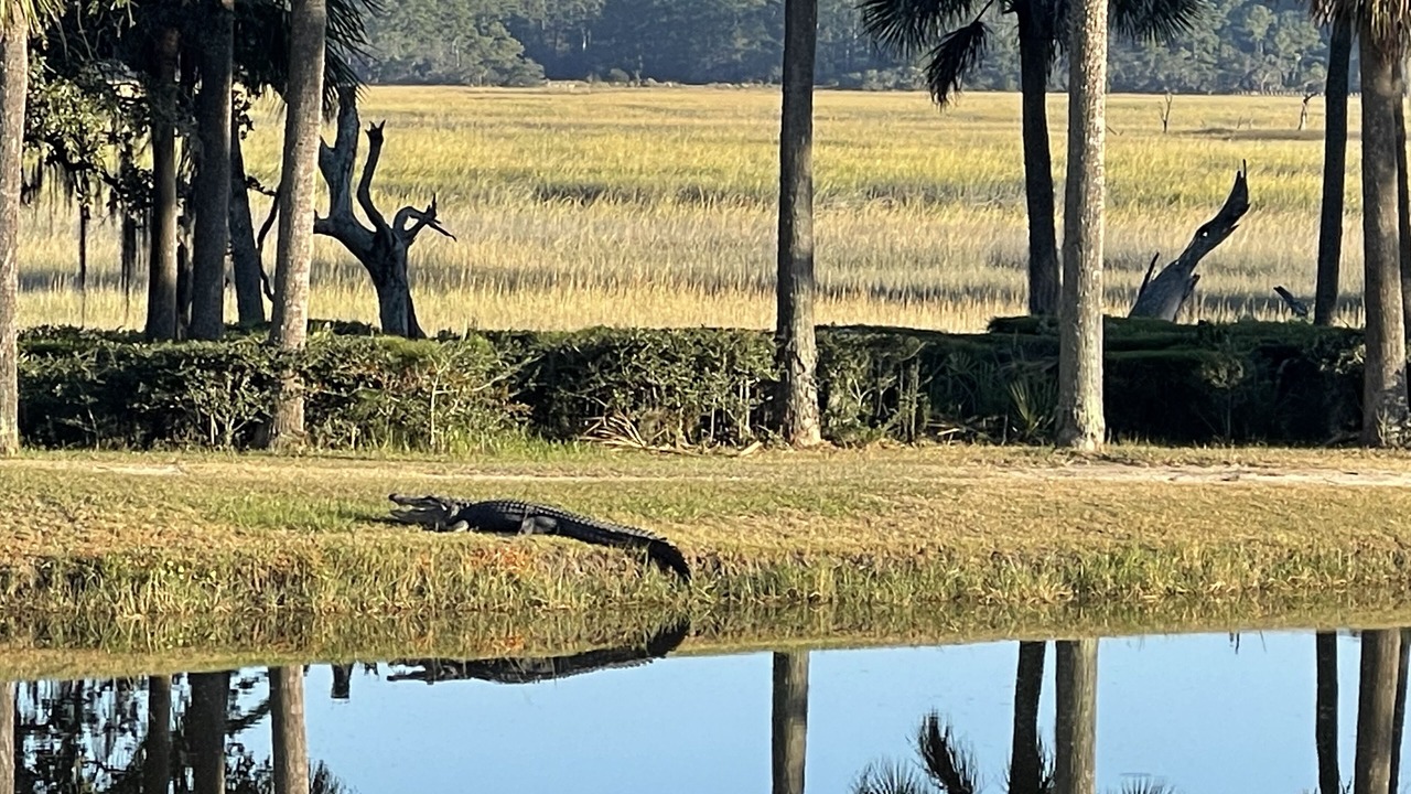 Photo of Others in Okatie