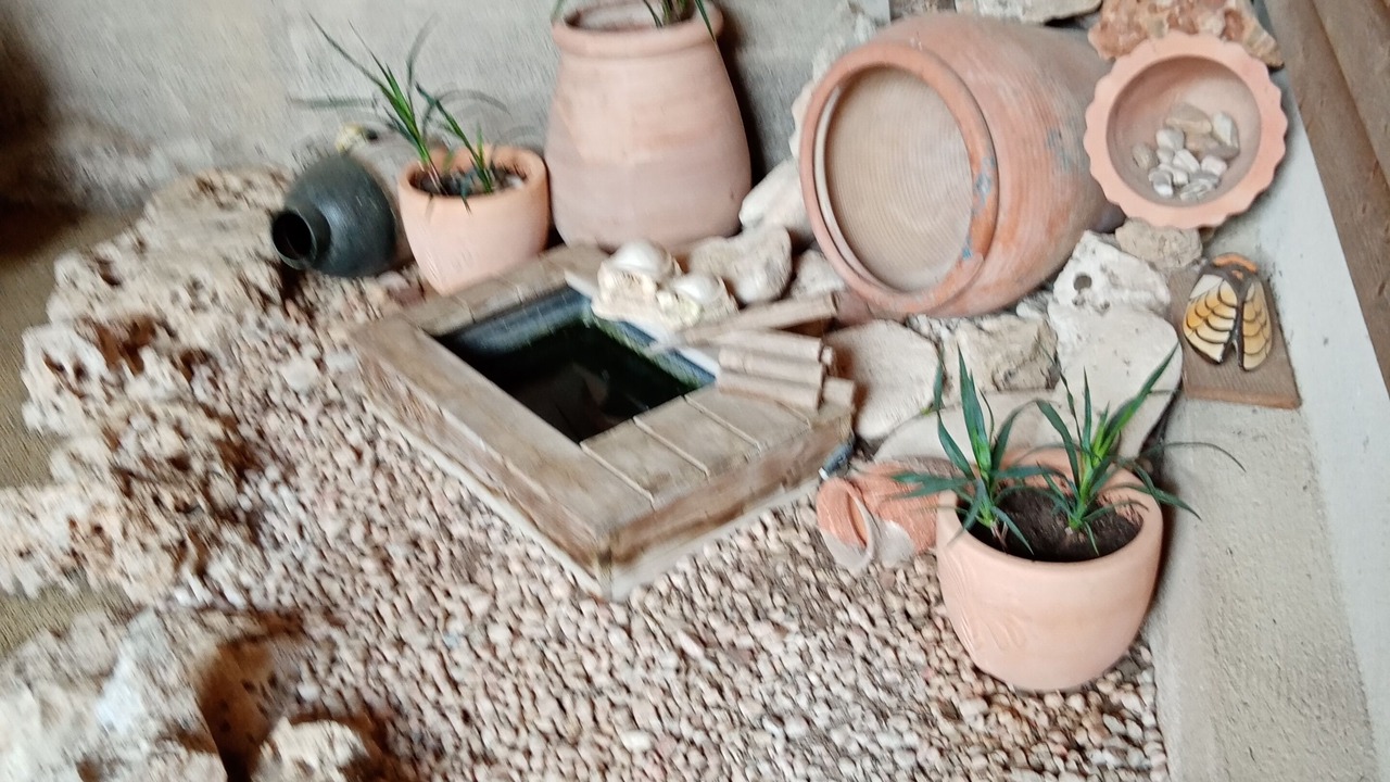 Photo of Outdoor in Thorigny