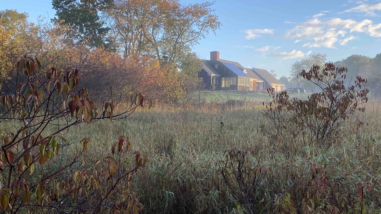 Photo of Others in Ipswich