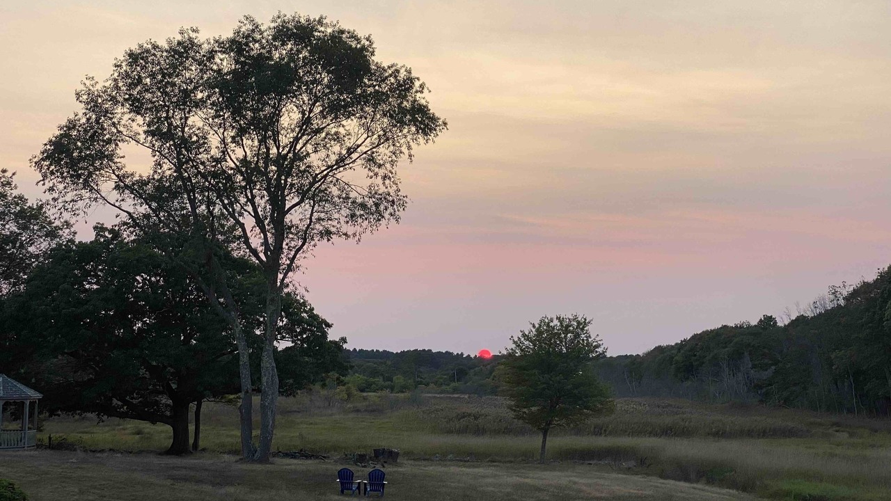 Photo of Others in Ipswich