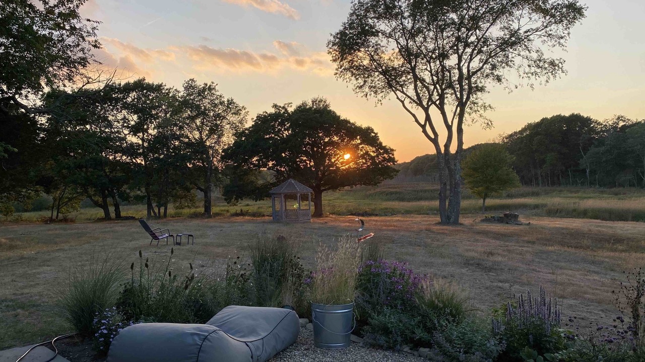 Photo of Others in Ipswich