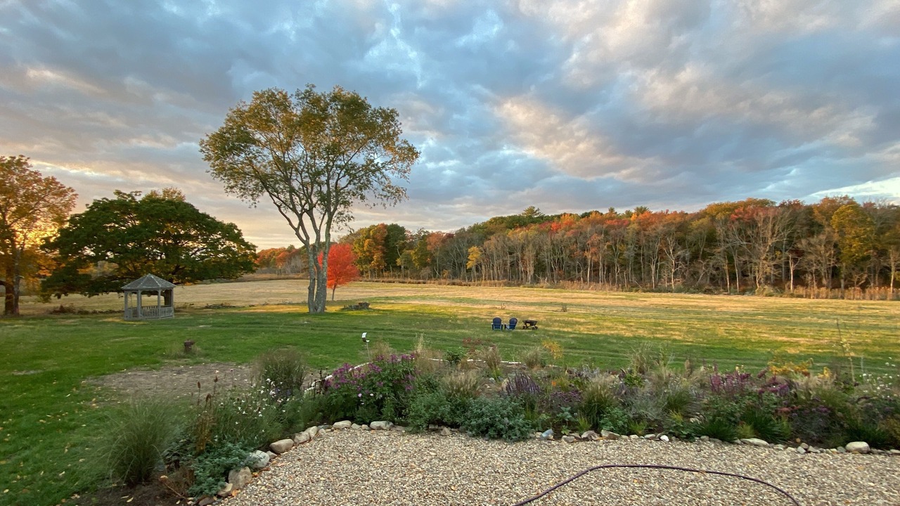 Photo of Others in Ipswich