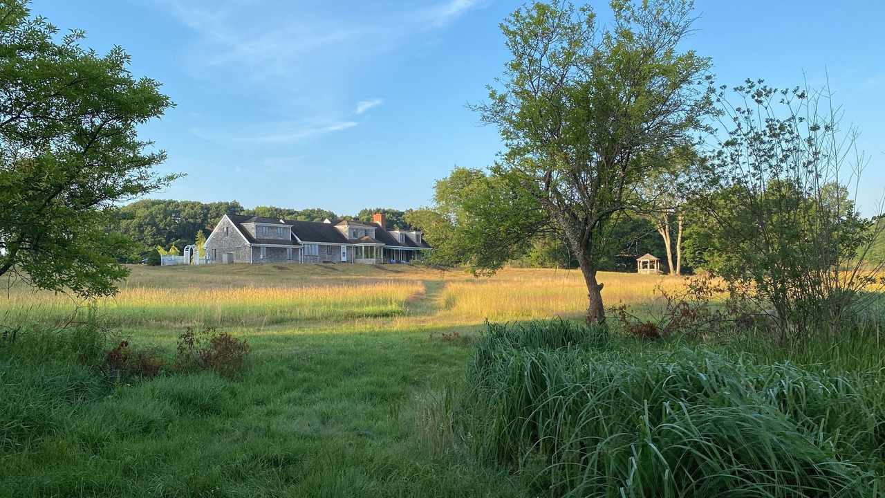 Photo of Others in Ipswich