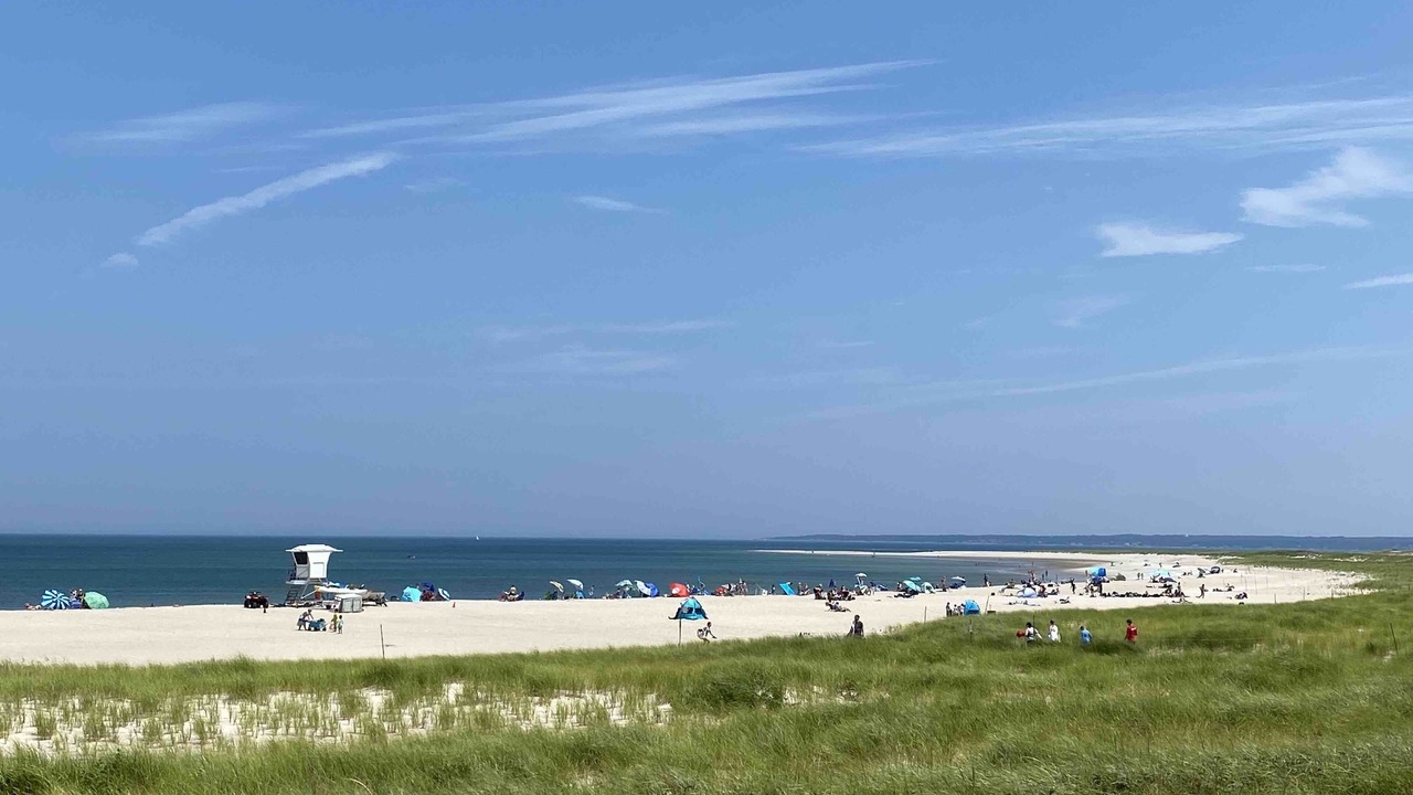 Photo of Others in Ipswich