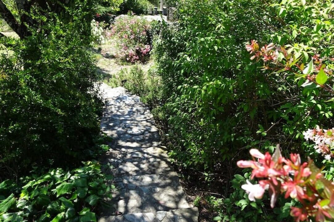 Photo of Outdoor in Breau-et-Salagosse
