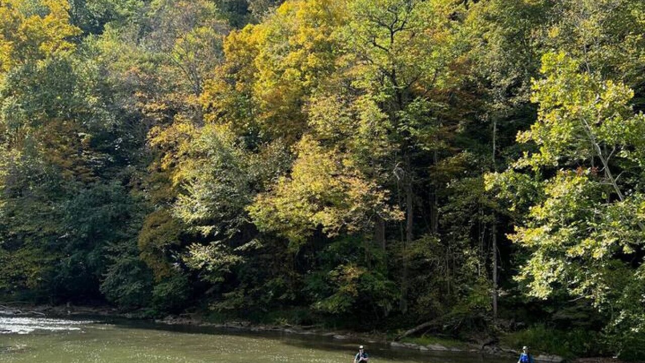 Photo of Others in Ellwood City