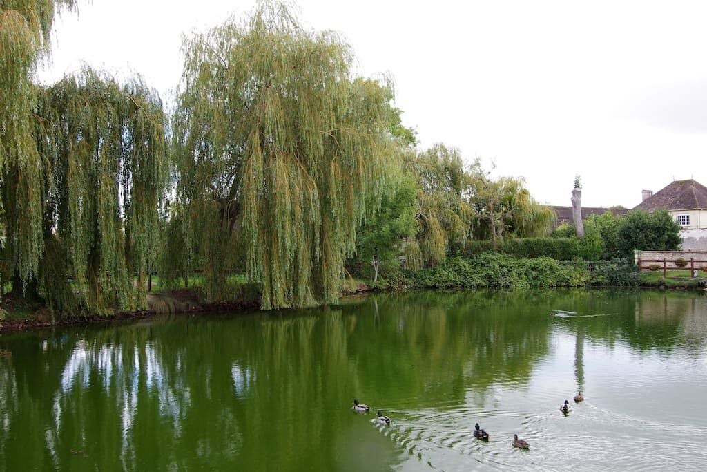 Photo of Outdoor in Bavent