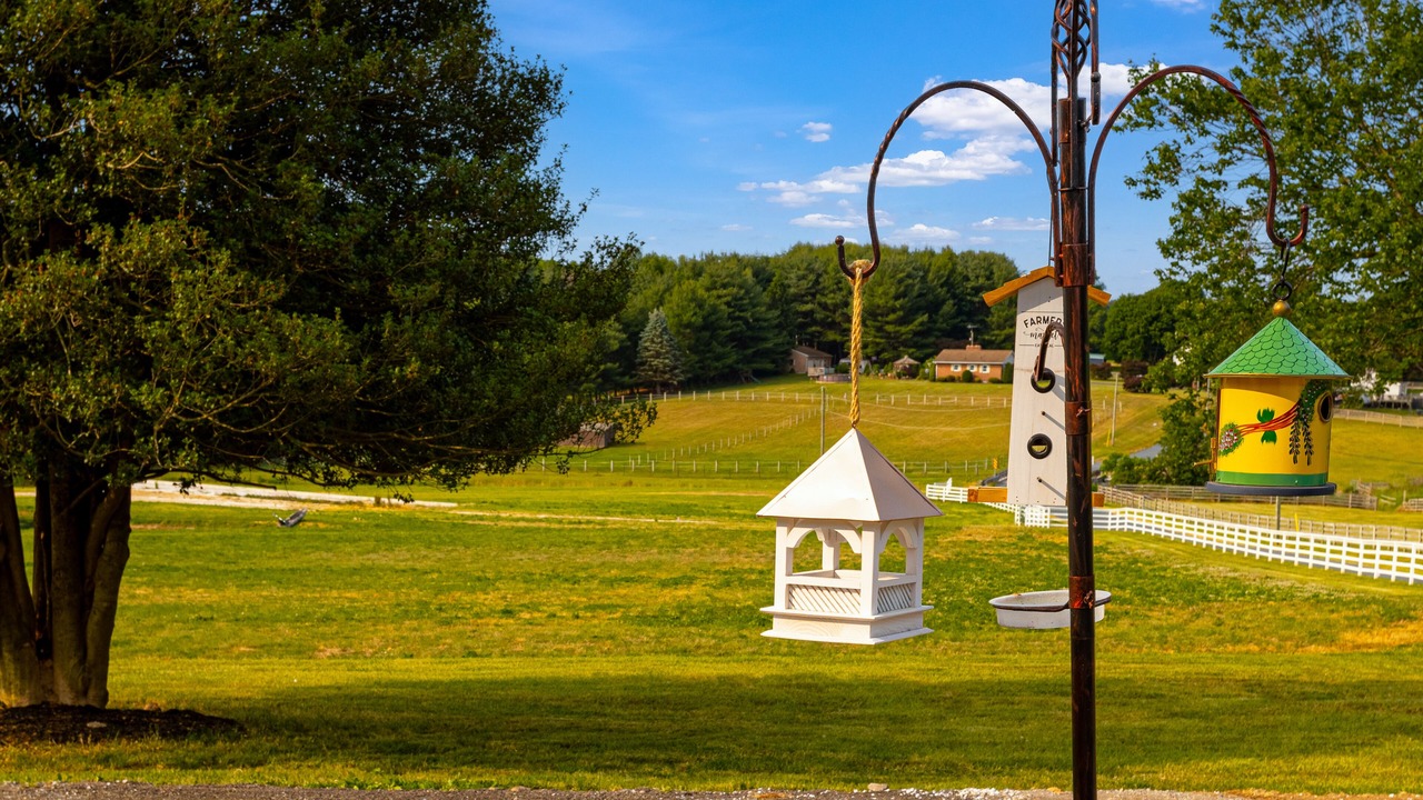 Photo of Outdoor in New Park