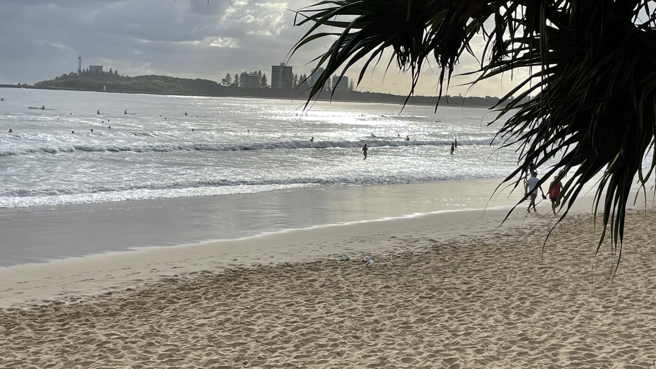Photo of Others in Maroochydore
