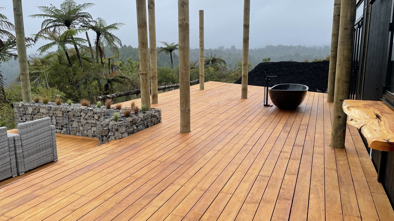 Photo of Others in Lower Kaimai