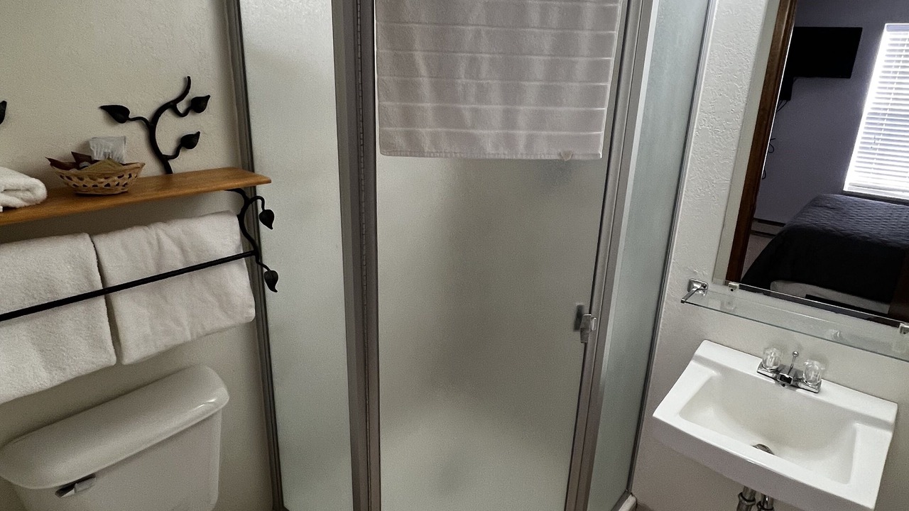 Photo of Bathroom in Mesa
