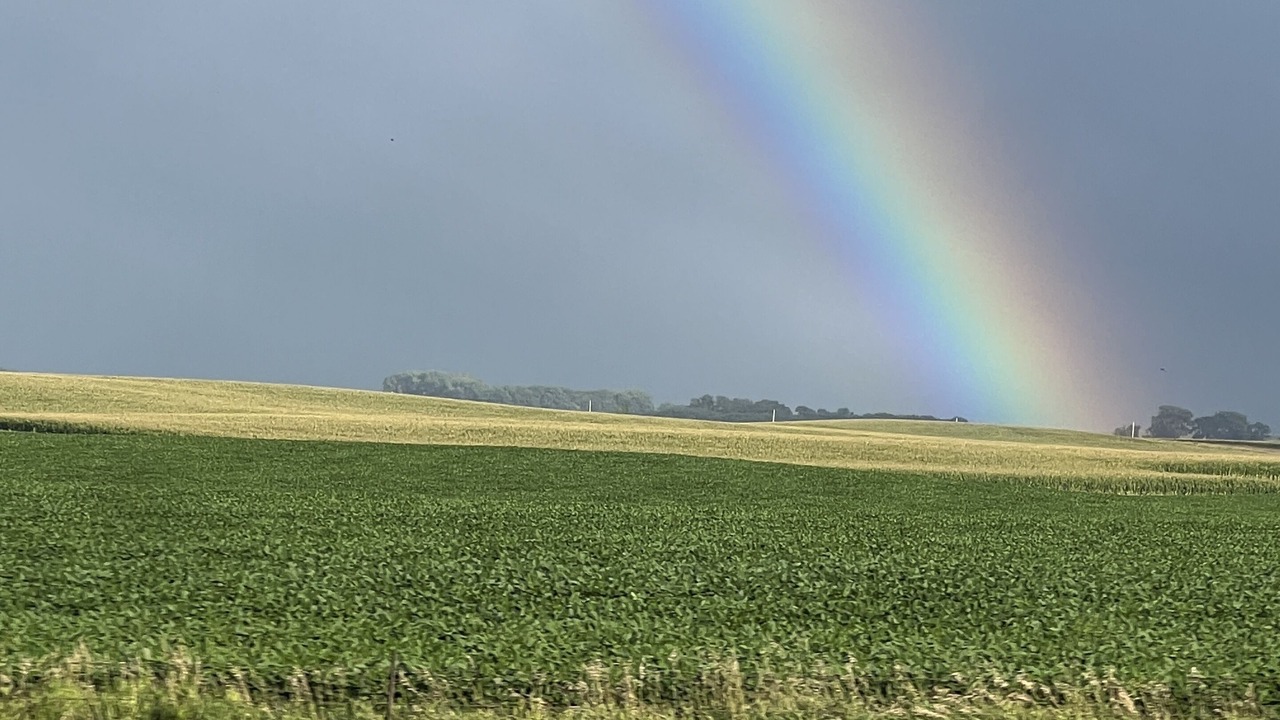 Photo of Others in Clay County