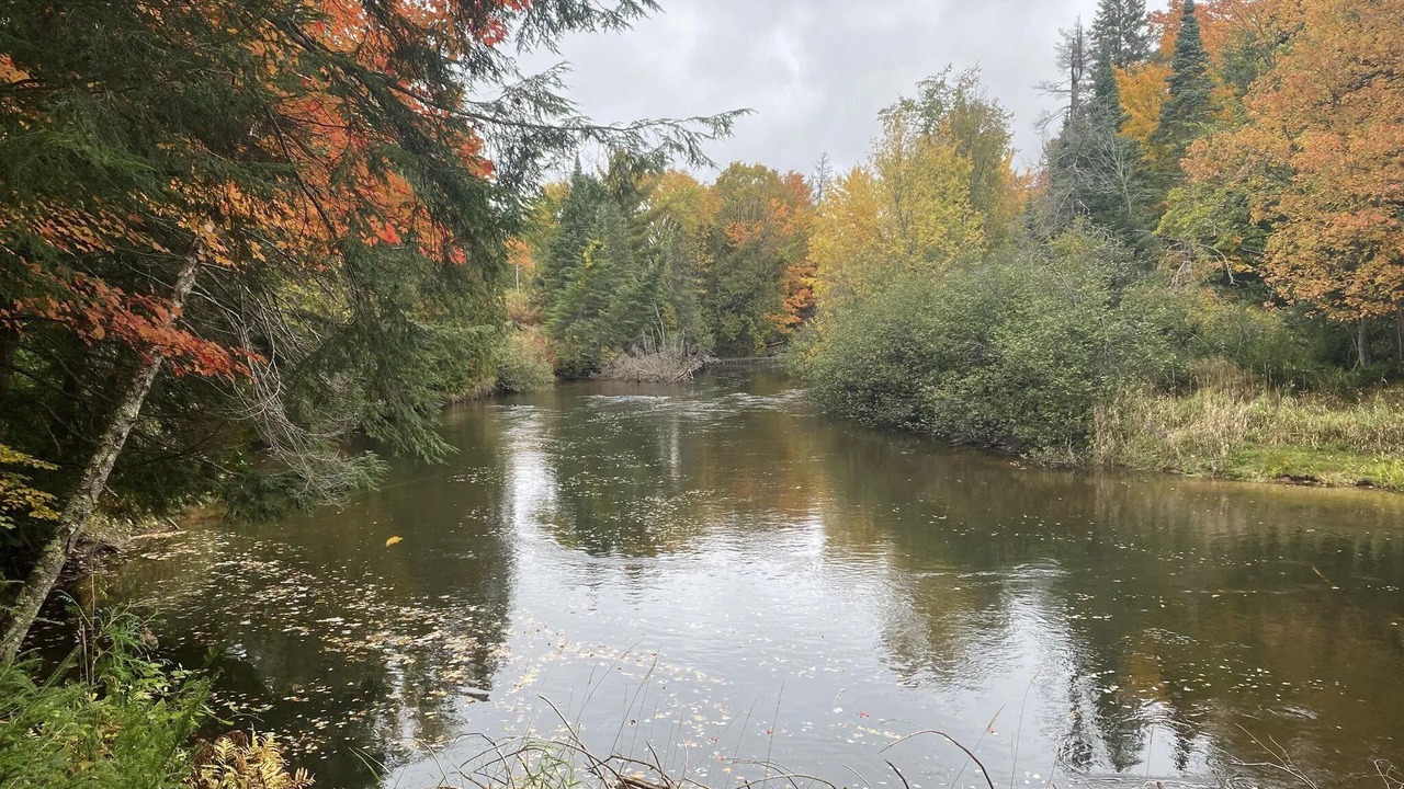 Photo of Outdoor in Germfask