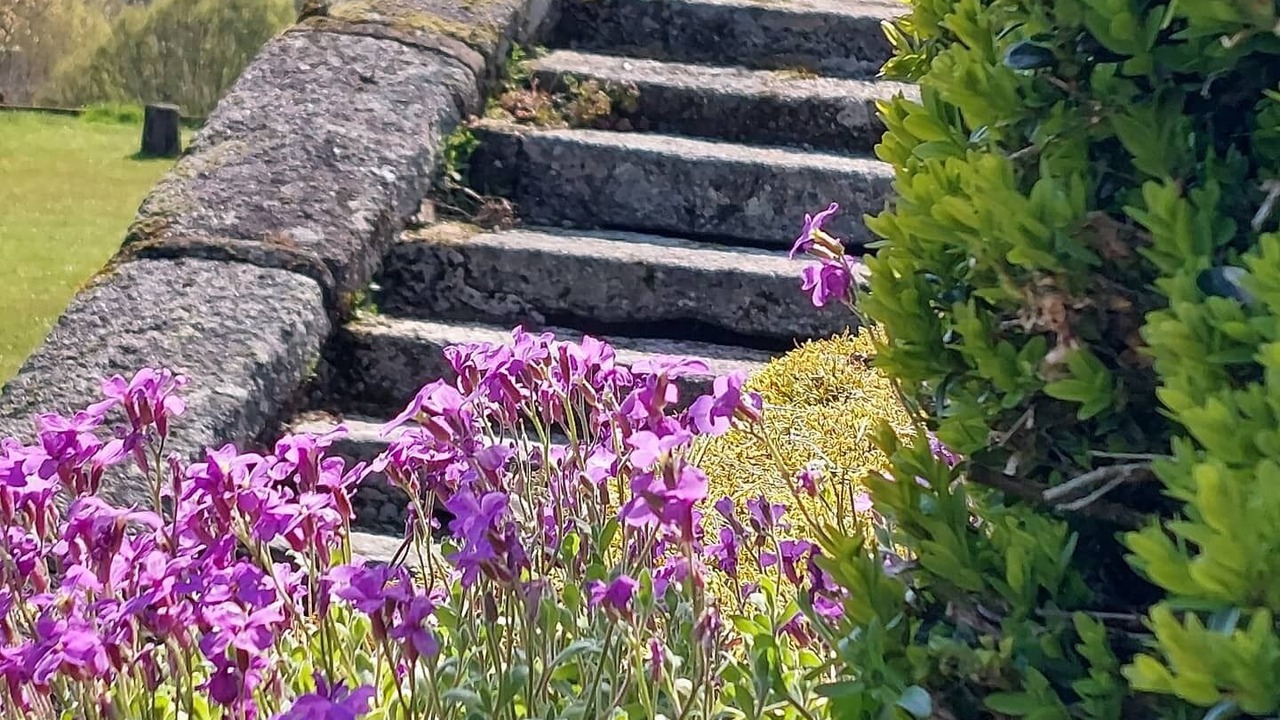 Photo of Outdoor in Gesnes-le-Gandelin