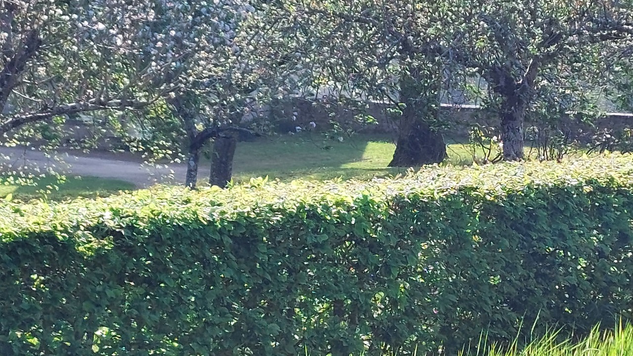 Photo of Outdoor in Gesnes-le-Gandelin