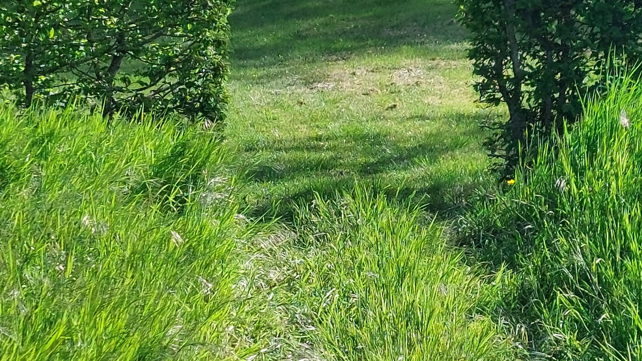 Photo of Outdoor in Gesnes-le-Gandelin