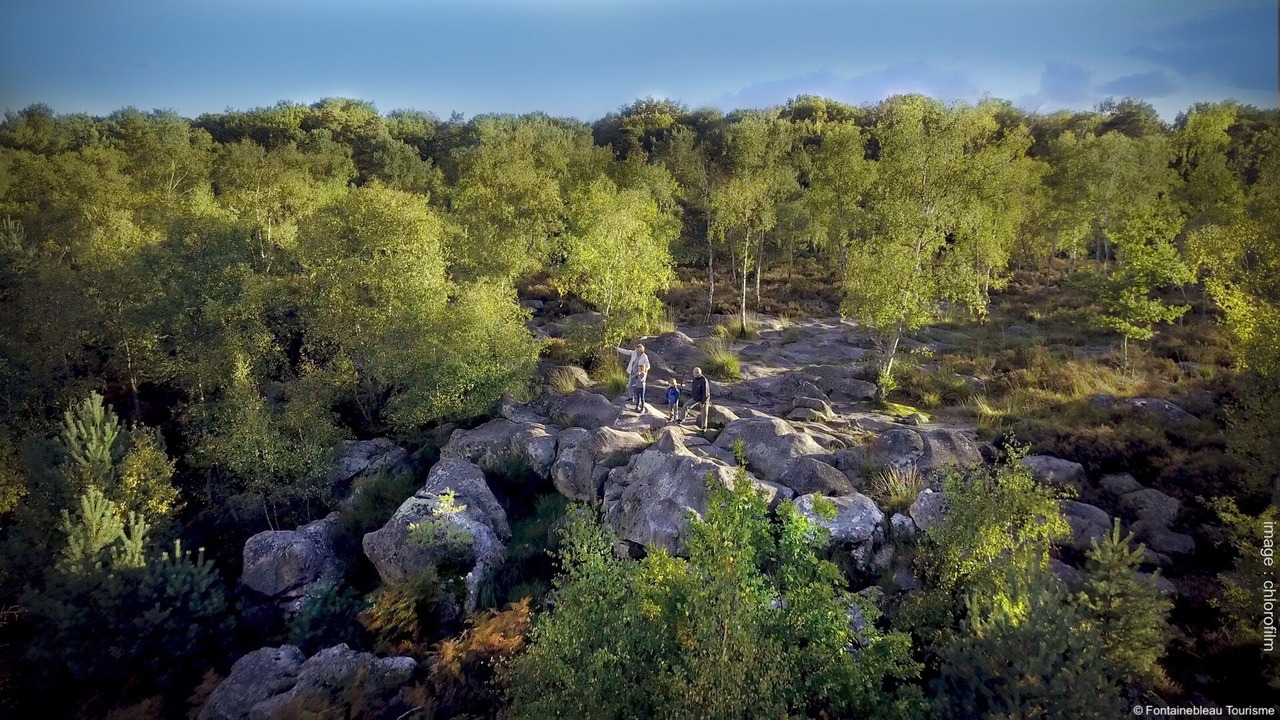 Photo of Outdoor in Milly-la-Foret