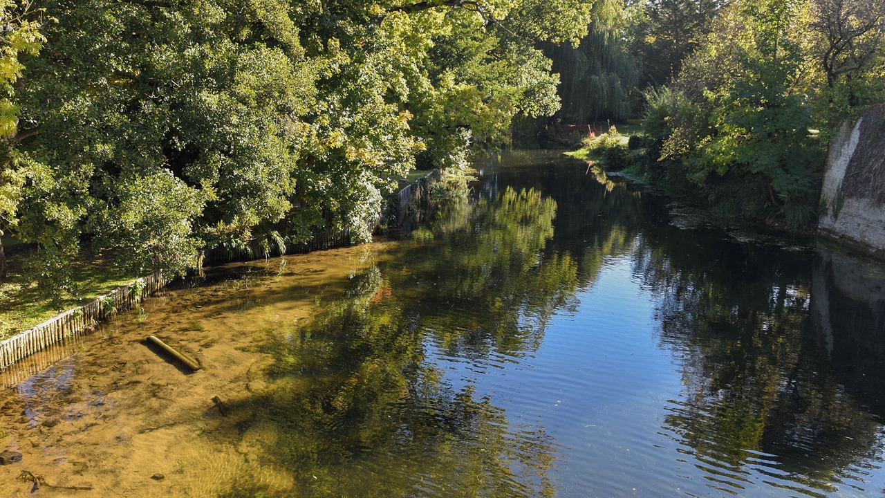 Photo of Others in Brandon