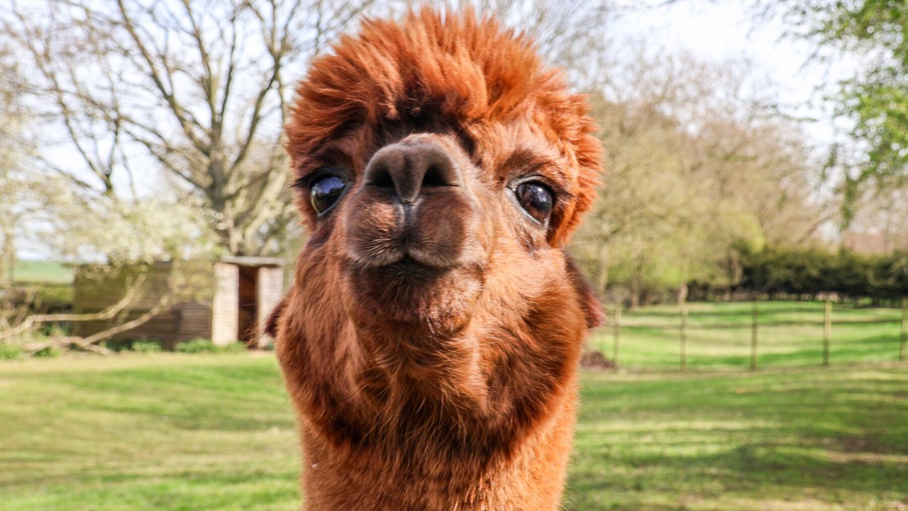 Photo of Others in Bedale