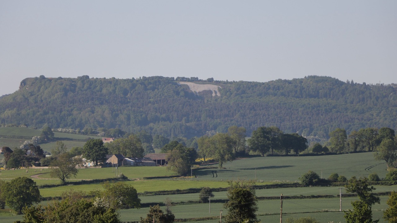 Photo of Others in Bedale