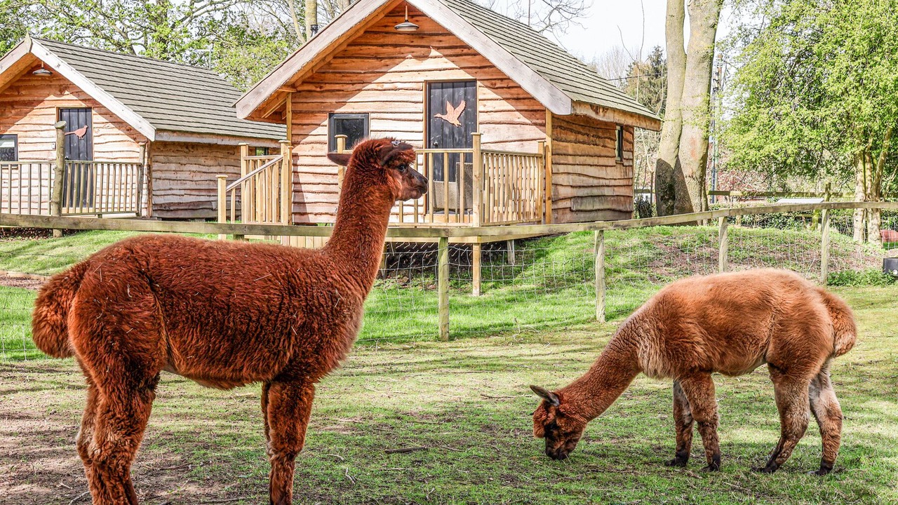 Photo of Outdoor in Bedale