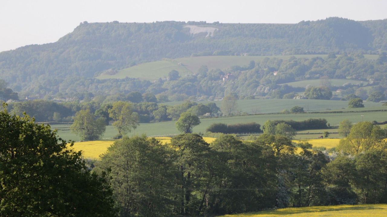 Photo of Others in Bedale