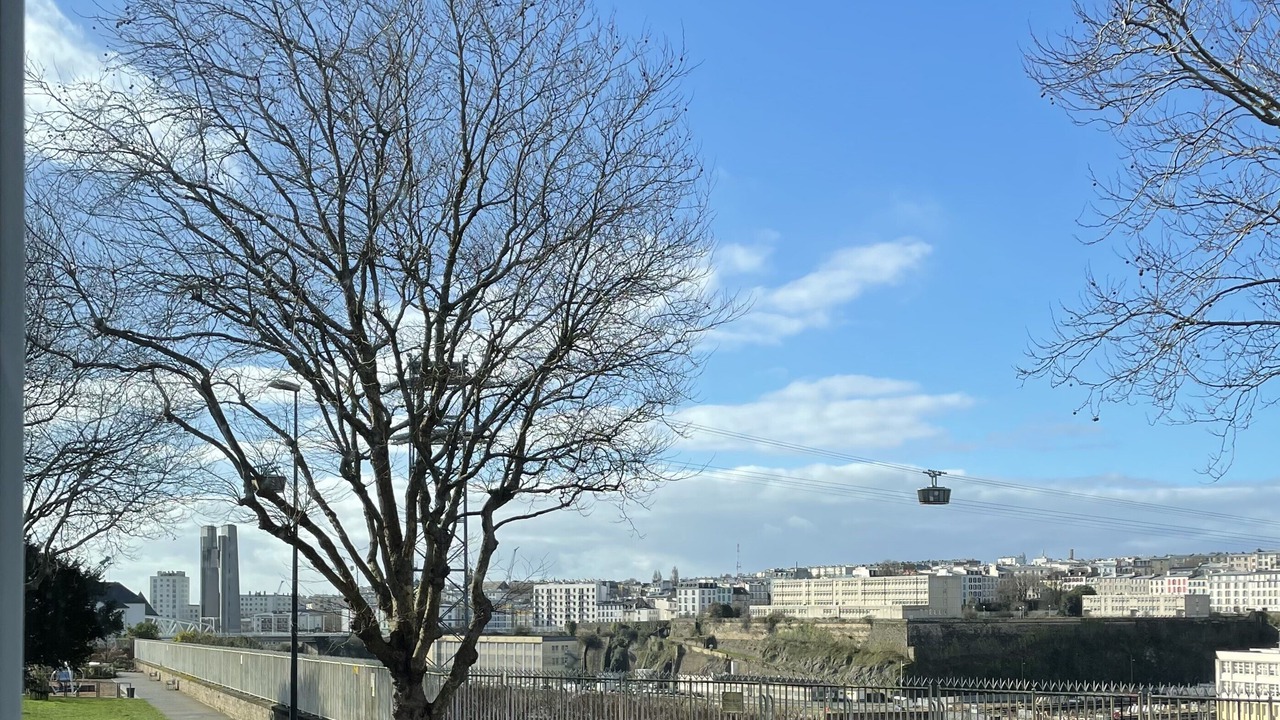 Photo of Others in Downtown