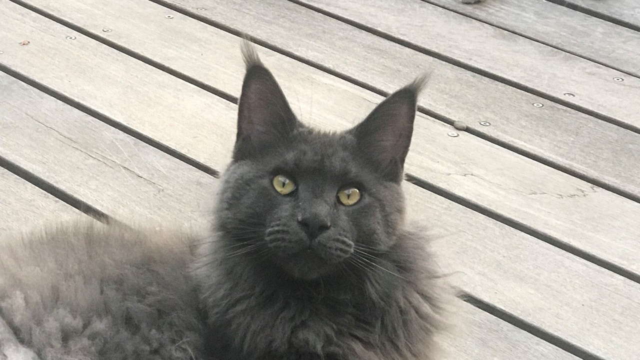 Photo of Others in Loupiac