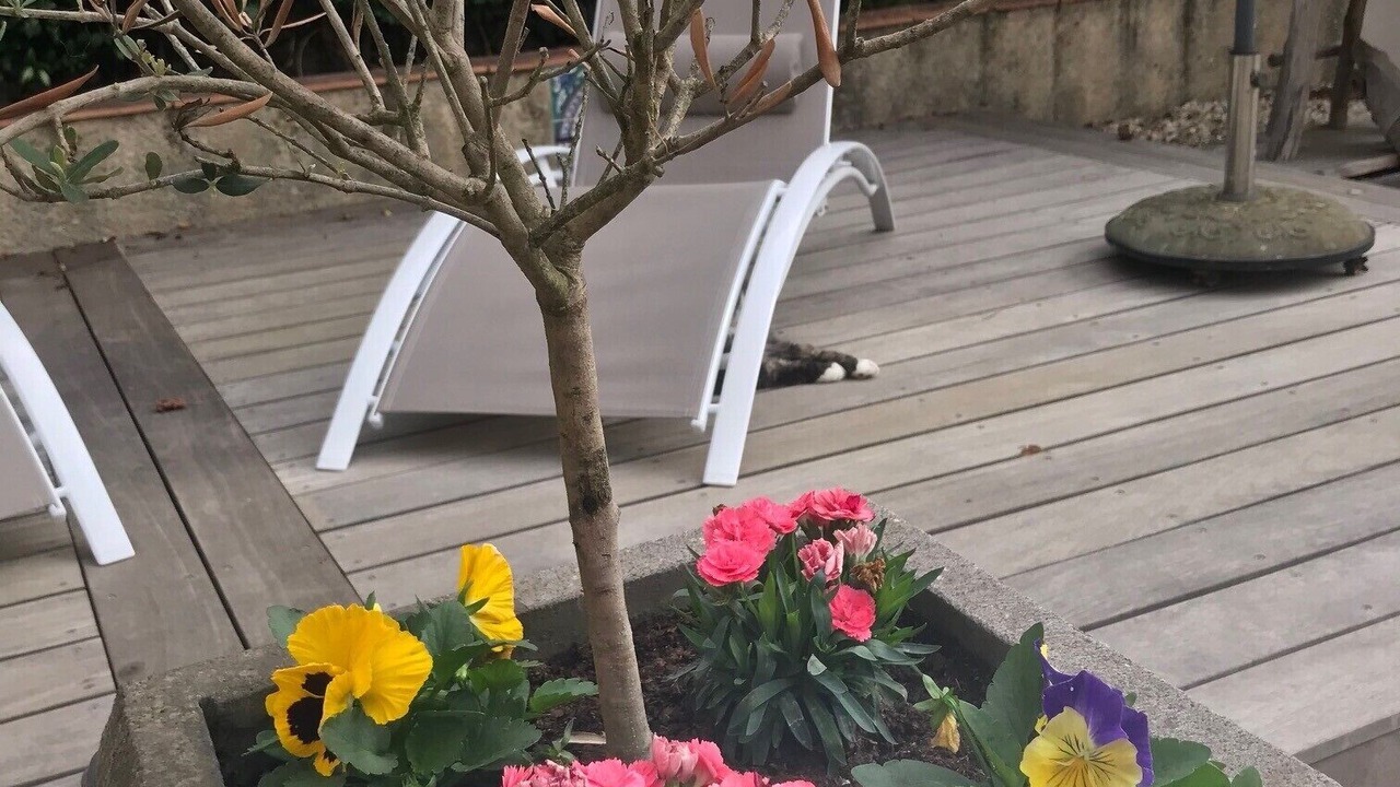 Photo of Outdoor in Loupiac