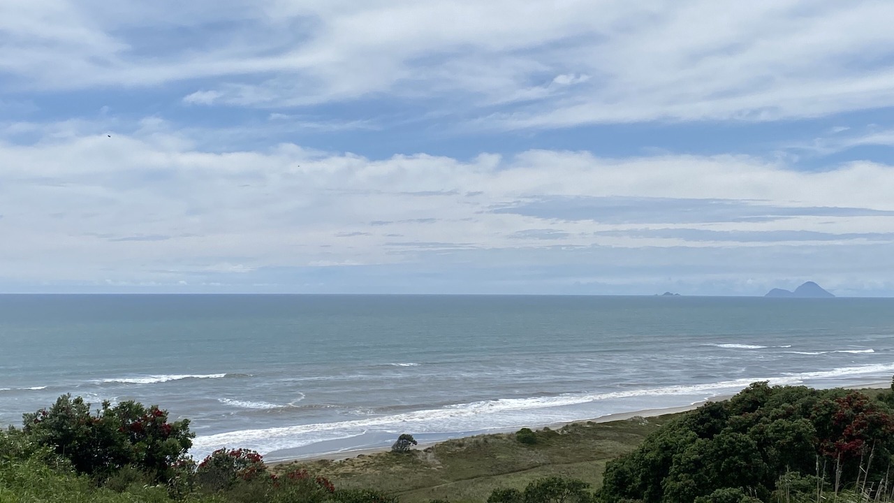 Photo of Others in Bay of Plenty Region