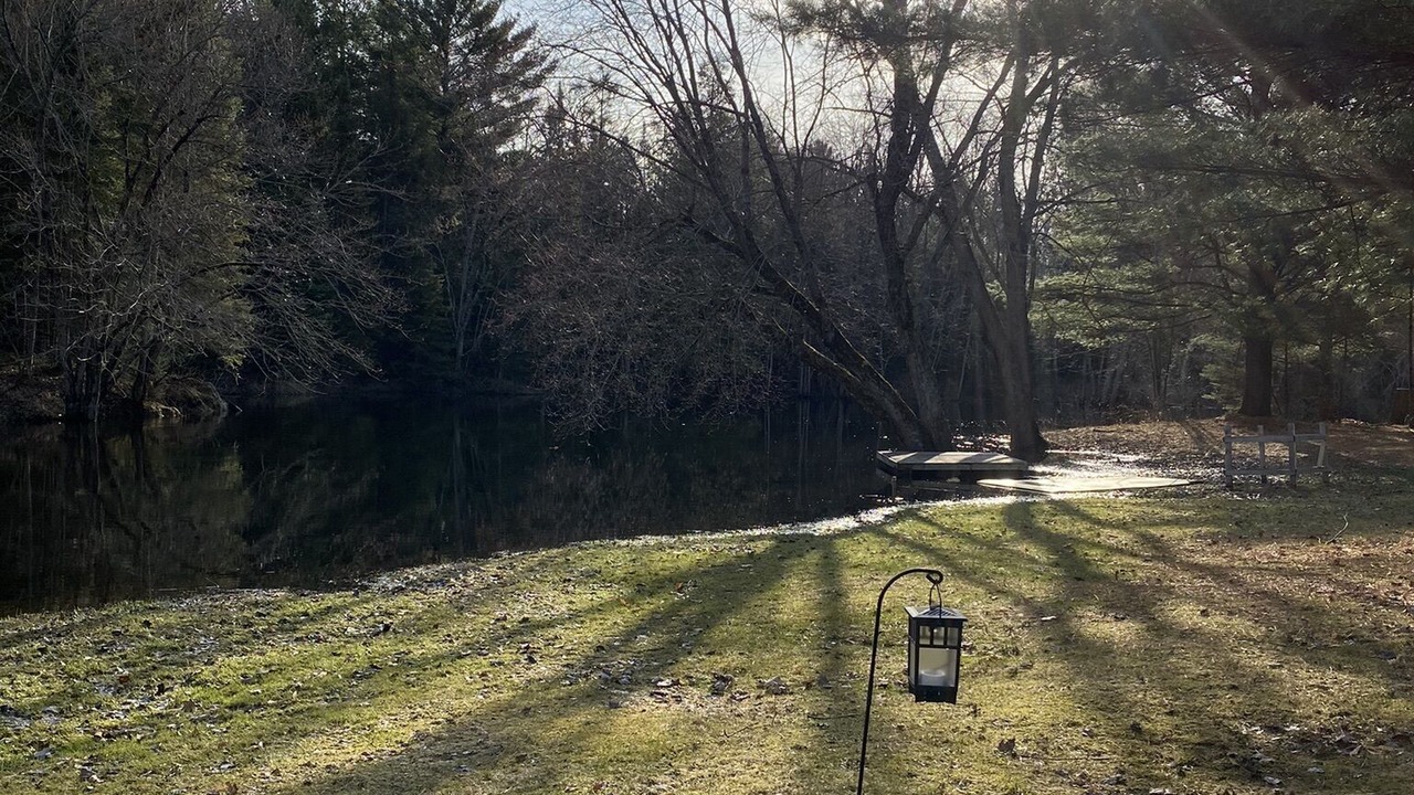 Photo of Outdoor in Sebright