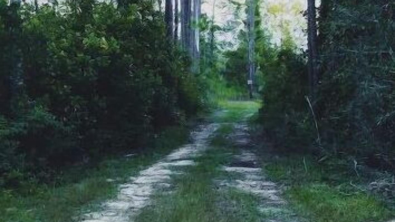 Photo of Others in Chipley