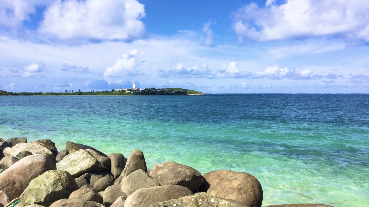 Photo of Others in Nettle Bay