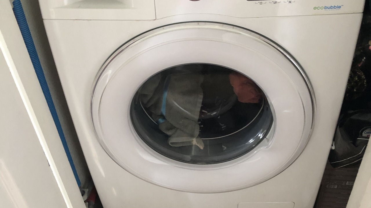 Photo of Others in Nettle Bay