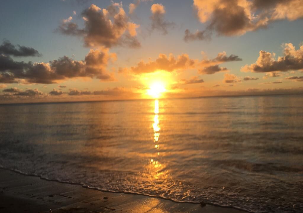 Photo of Others in Nettle Bay