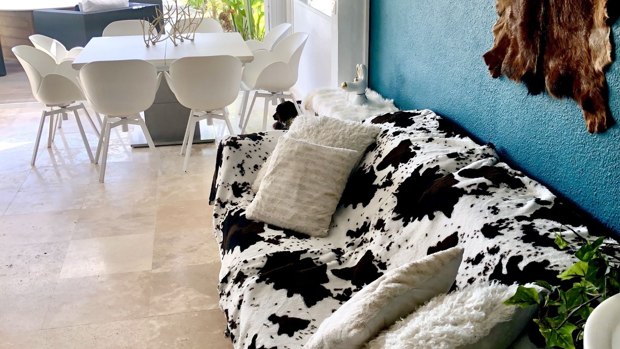 Photo of Others in Nettle Bay