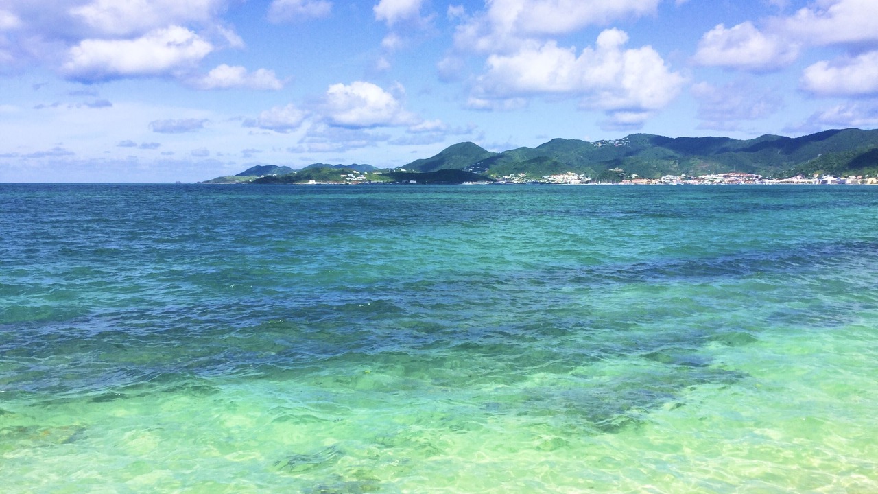 Photo of Others in Nettle Bay