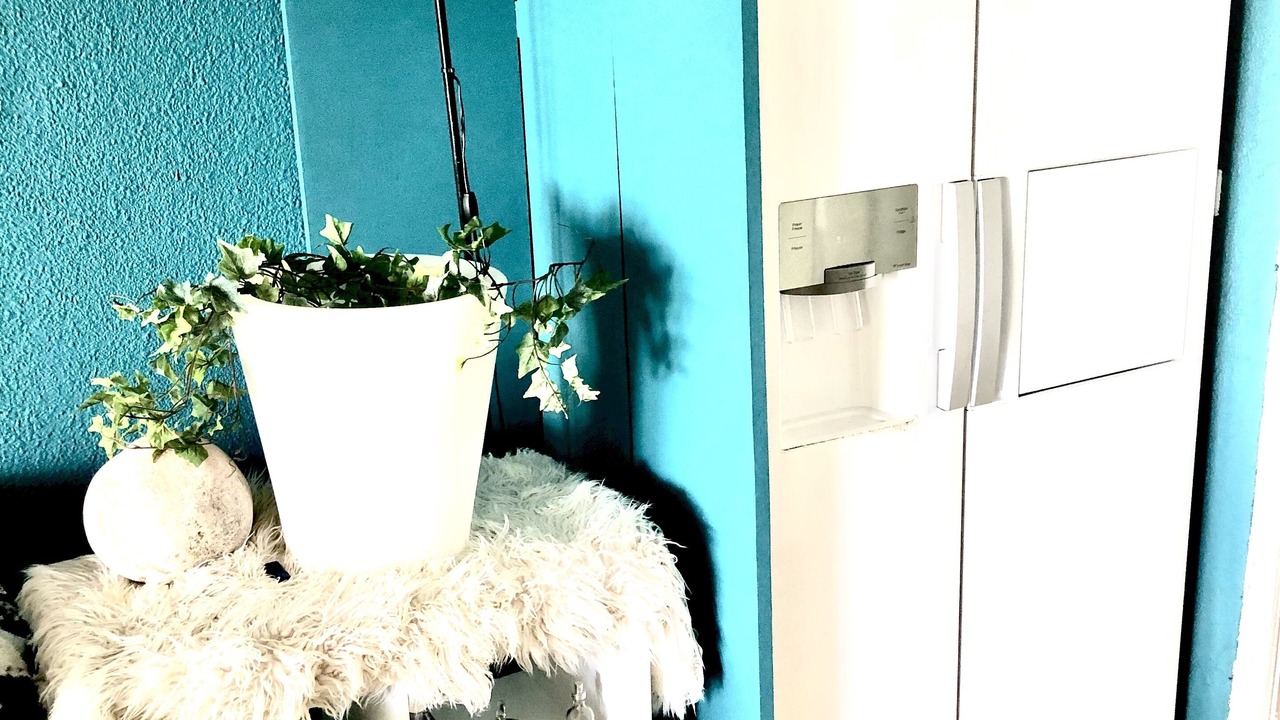 Photo of Others in Nettle Bay