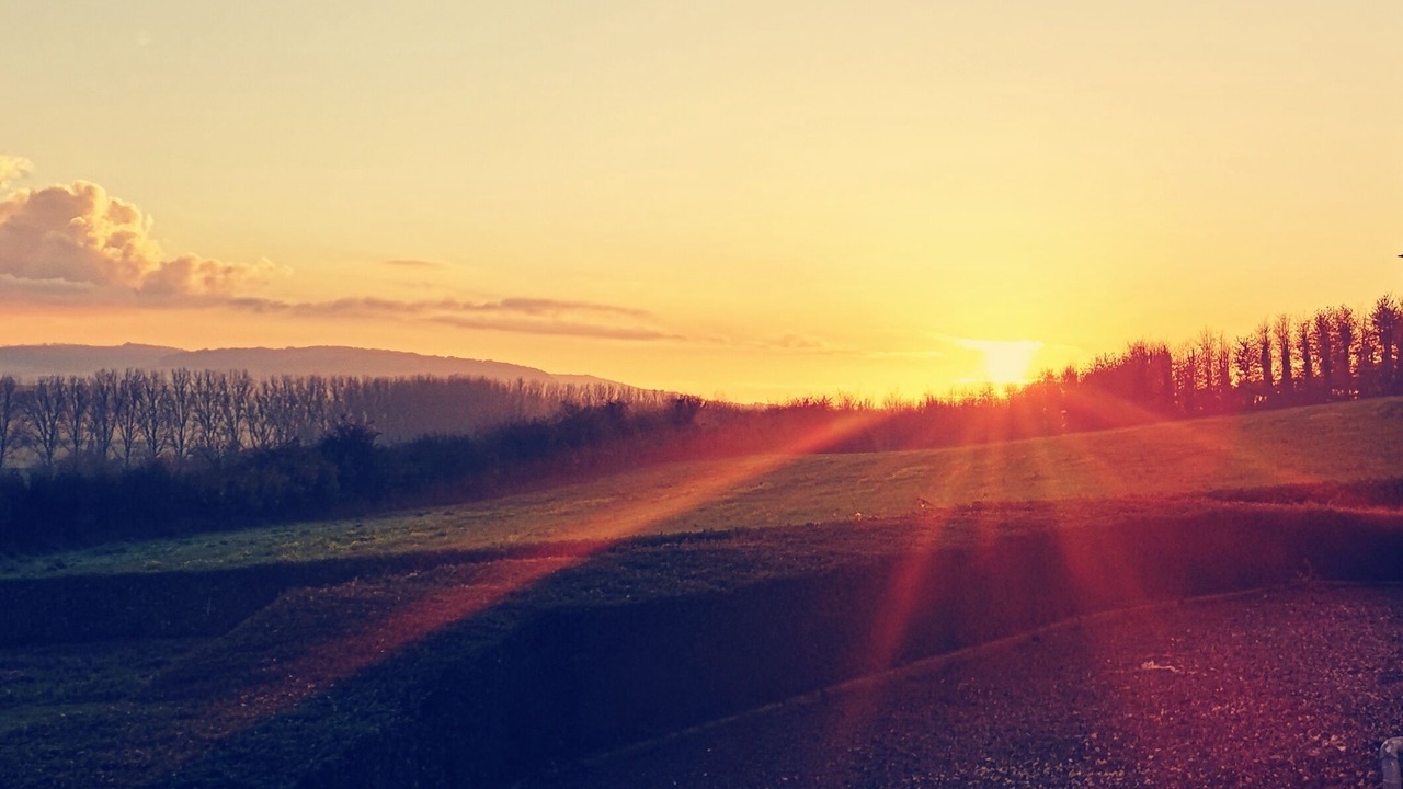 Photo of Others in Tournehem-sur-la-Hem
