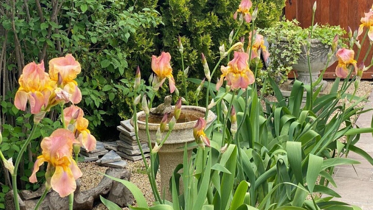 Photo of Outdoor in Le Somail