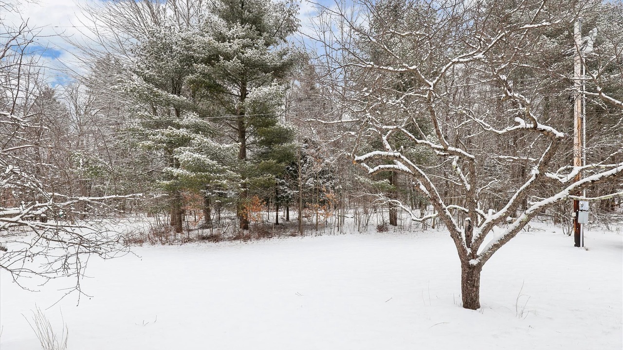 Photo of Others in Morrisville