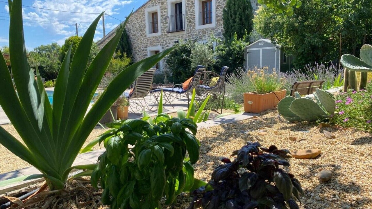 Photo of Outdoor in Le Somail