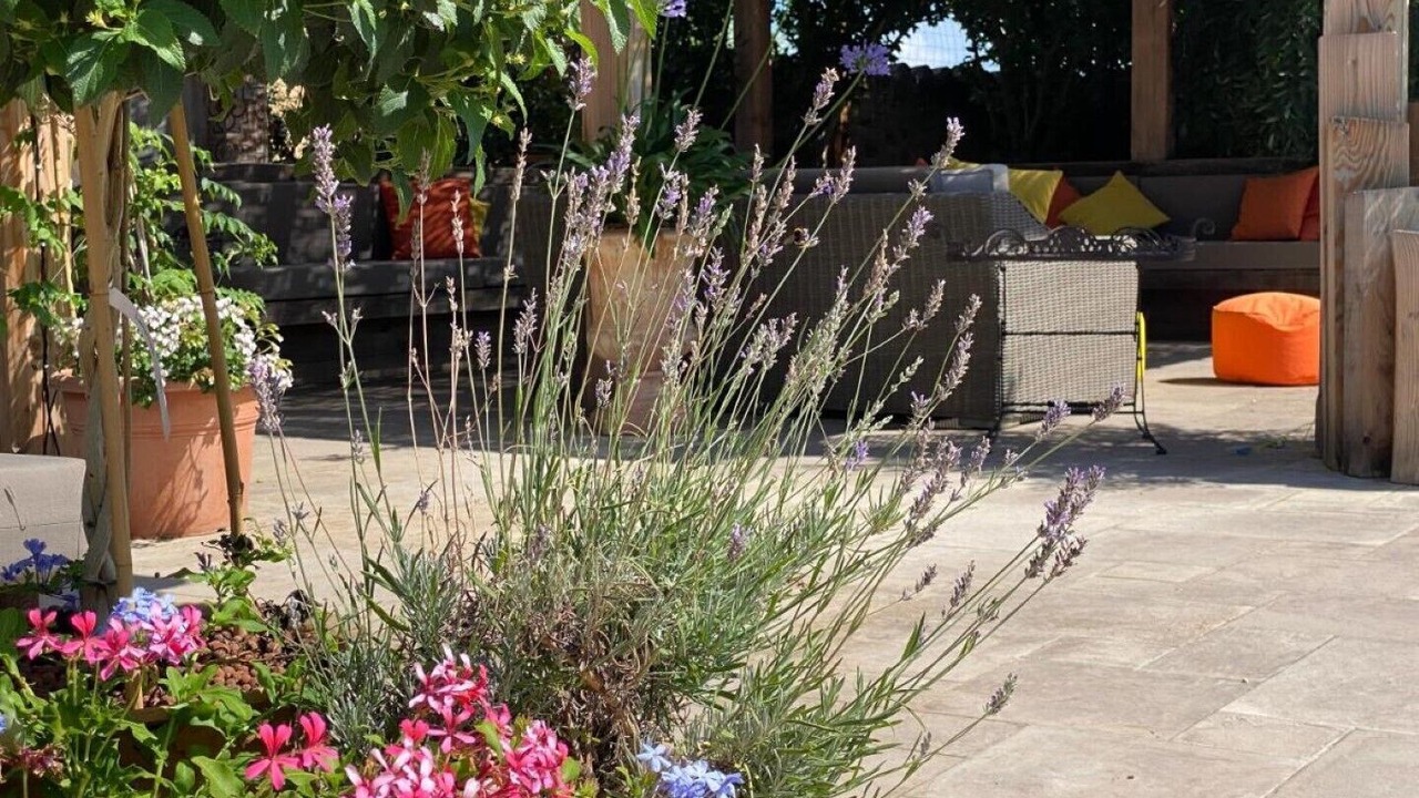 Photo of Patio Balcony in Le Somail