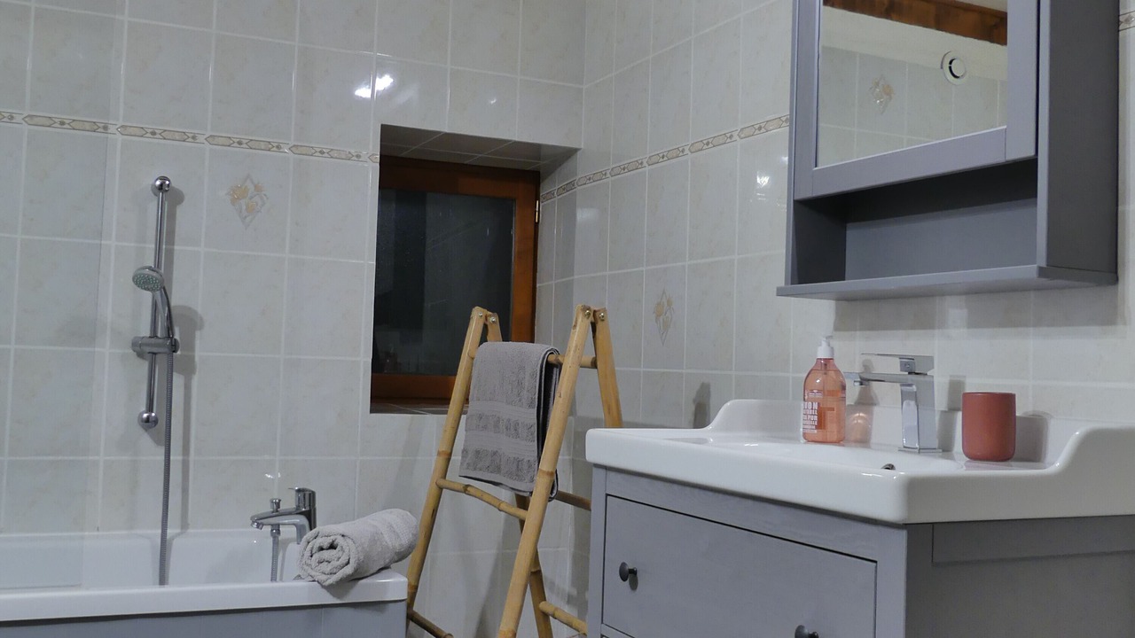 Photo of Bathroom in Entremont-le-Vieux